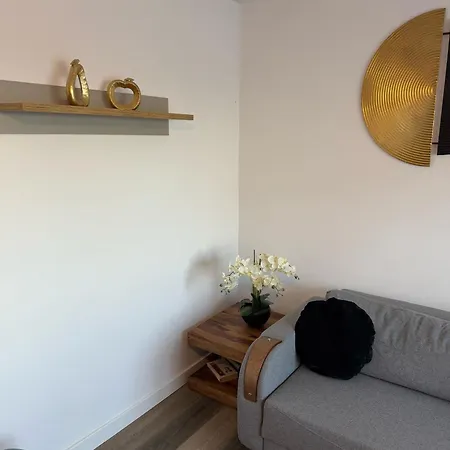 Away From - Zorilor * Cluj-Napoca