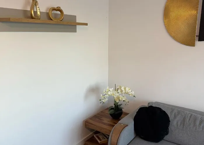 Away From - Zorilor * Kluž