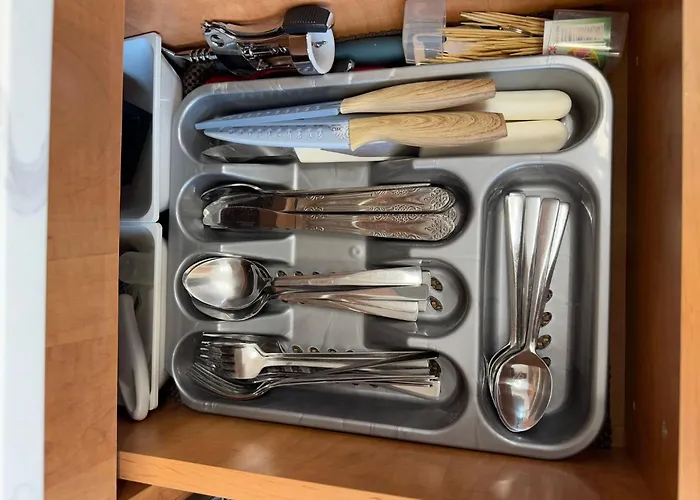 Away From - Zorilor *